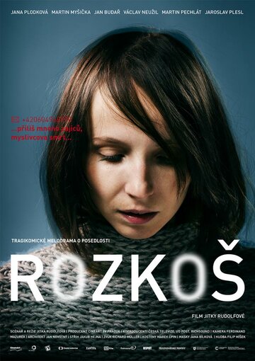 Rozkos (2013)